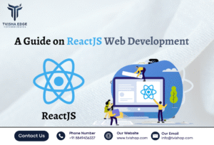 react js website development service in dhandhuka gujarat ahmedabad india